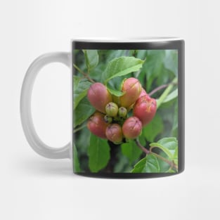 Red Buds on a Walk Photographic Image Mug